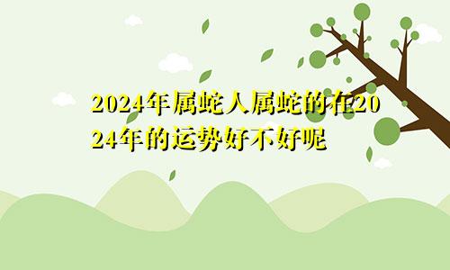 2024年属蛇人属蛇的在2024年的运势好不好呢