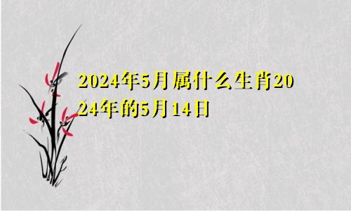 2024年5月属什么生肖2024年的5月14日