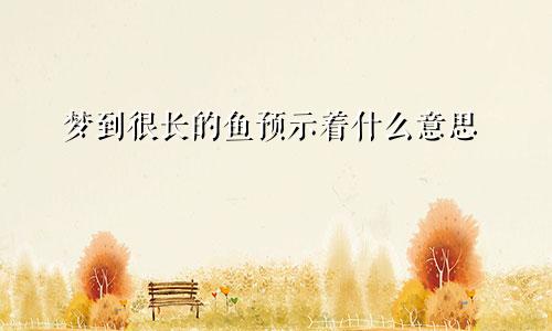 梦到很长的鱼预示着什么意思