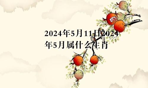 2024年5月11日2024年5月属什么生肖