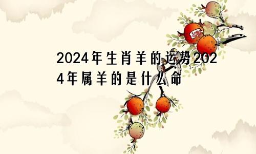 2024年生肖羊的运势2024年属羊的是什么命