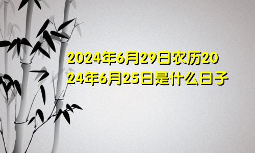 2024年6月29日农历2024年6月25日是什么日子