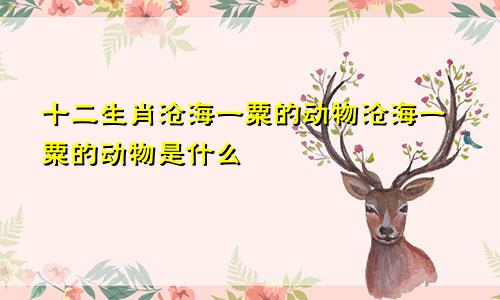 十二生肖沧海一粟的动物沧海一粟的动物是什么