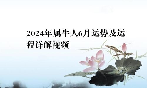 2024年属牛人6月运势及运程详解视频