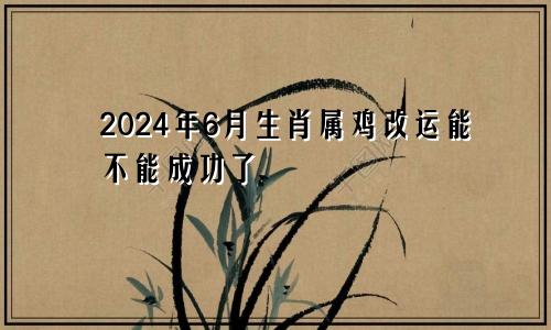 2024年6月生肖属鸡改运能不能成功了