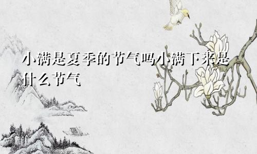 小满是夏季的节气吗小满下来是什么节气
