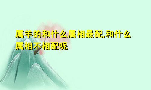 属羊的和什么属相最配,和什么属相不相配呢