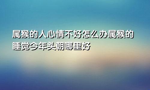 属猴的人心情不好怎么办属猴的睡觉今年头朝哪里好