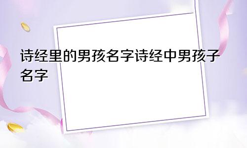 诗经里的男孩名字诗经中男孩子名字