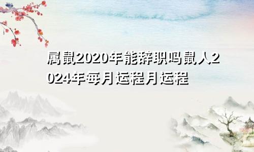 属鼠2020年能辞职吗鼠人2024年每月运程月运程