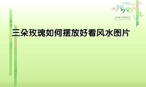 三朵玫瑰如何摆放好看风水图片