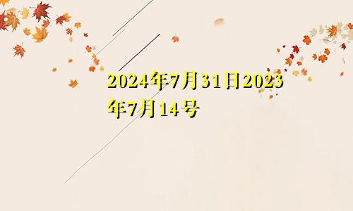 2024年7月31日2023年7月14号
