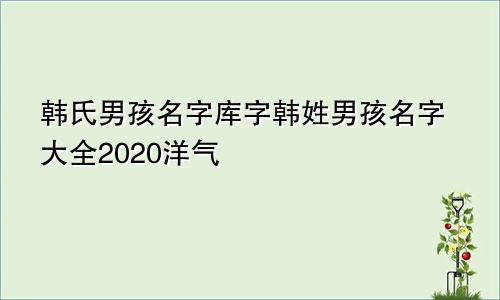 韩氏男孩名字库字韩姓男孩名字大全2020洋气