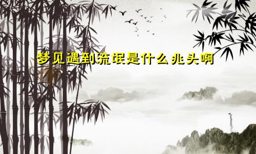 梦见遇到流氓是什么兆头啊