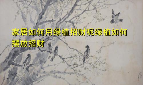 家居如何用绿植招财呢绿植如何摆放招财
