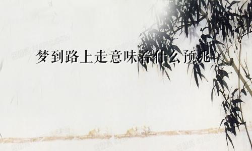梦到路上走意味着什么预兆