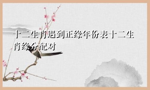十二生肖遇到正缘年份表十二生肖缘分配对