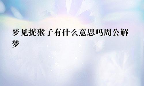 梦见捉猴子有什么意思吗周公解梦
