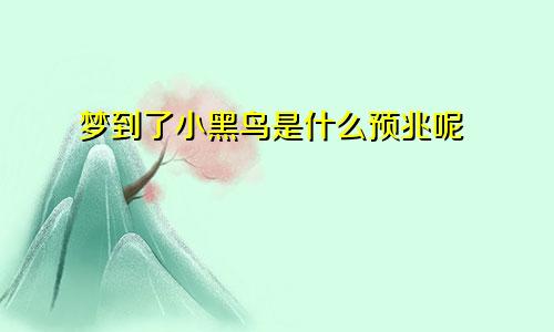 梦到了小黑鸟是什么预兆呢