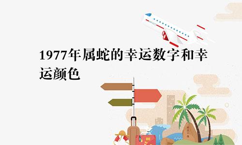 1977年属蛇的幸运数字和幸运颜色