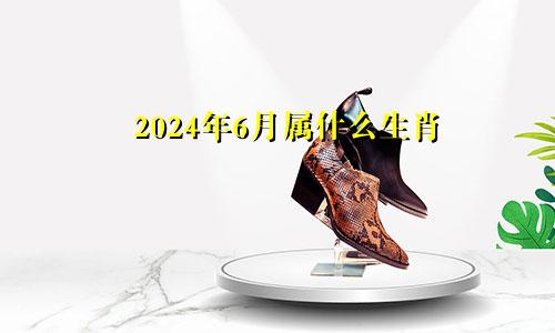 2024年6月属什么生肖