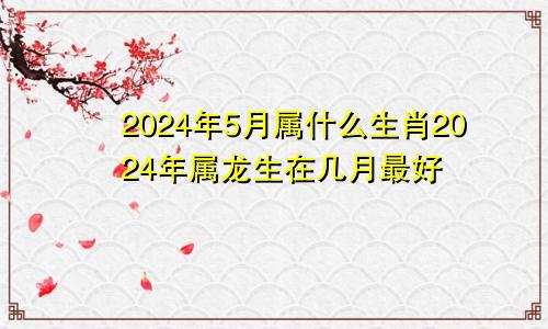 2024年5月属什么生肖2024年属龙生在几月最好