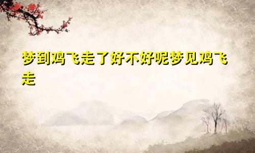 梦到鸡飞走了好不好呢梦见鸡飞走