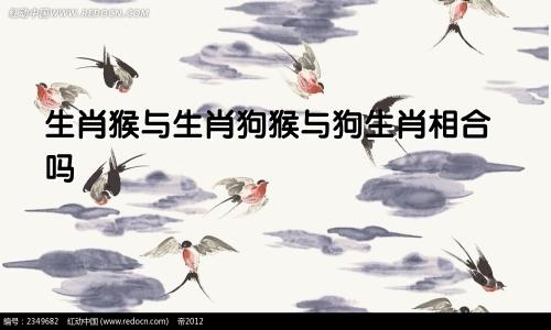 生肖猴与生肖狗猴与狗生肖相合吗