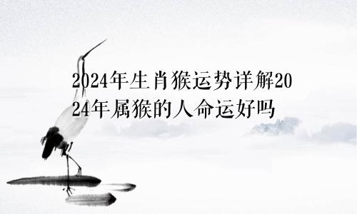 2024年生肖猴运势详解2024年属猴的人命运好吗