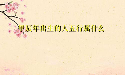 甲辰年出生的人五行属什么