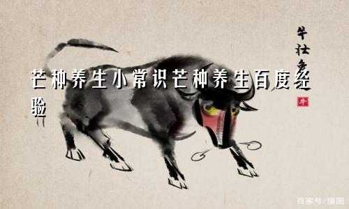 芒种养生小常识芒种养生百度经验