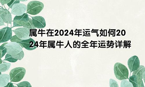 属牛在2024年运气如何2024年属牛人的全年运势详解