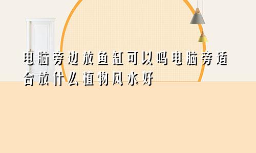 电脑旁边放鱼缸可以吗电脑旁适合放什么植物风水好