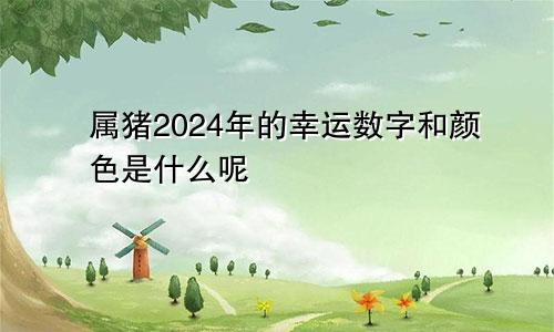 属猪2024年的幸运数字和颜色是什么呢