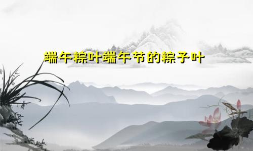 端午粽叶端午节的粽子叶