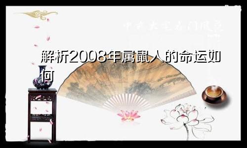 解析2008年属鼠人的命运如何
