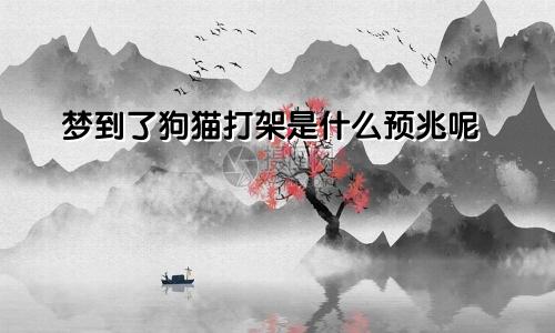 梦到了狗猫打架是什么预兆呢