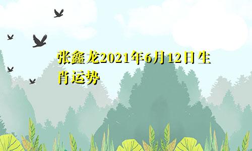 张鑫龙2021年6月12日生肖运势