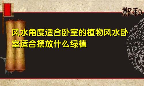 风水角度适合卧室的植物风水卧室适合摆放什么绿植