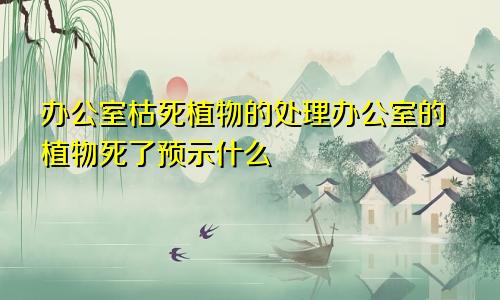 办公室枯死植物的处理办公室的植物死了预示什么