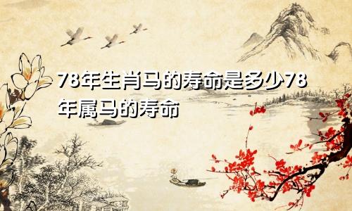 78年生肖马的寿命是多少78年属马的寿命