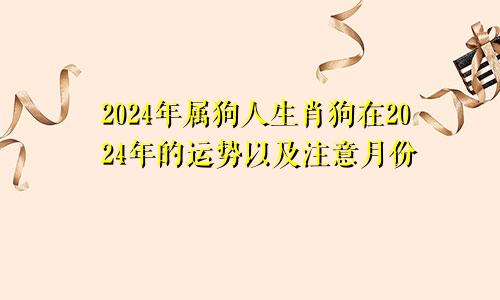 2024年属狗人生肖狗在2024年的运势以及注意月份