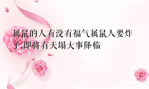 属鼠的人有没有福气属鼠人要炸了,即将有天塌大事降临