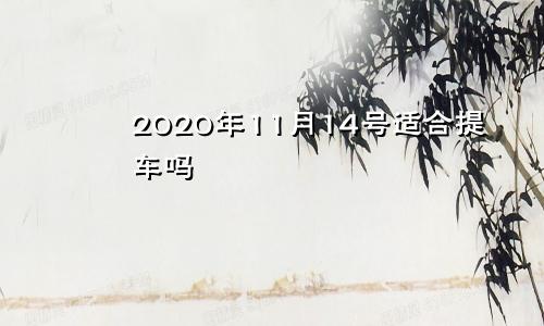 2020年11月14号适合提车吗