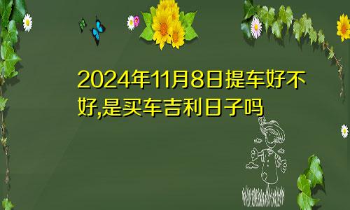 2024年11月8日提车好不好,是买车吉利日子吗