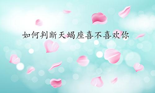 如何判断天蝎座喜不喜欢你