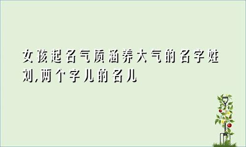 女孩起名气质涵养大气的名字姓刘,两个字儿的名儿
