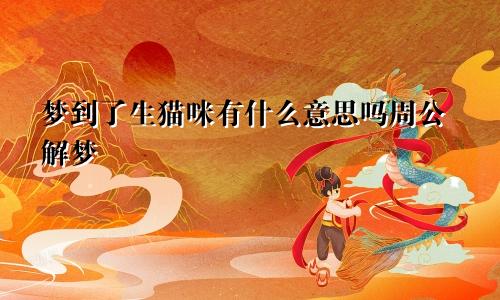 梦到了生猫咪有什么意思吗周公解梦