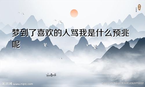 梦到了喜欢的人骂我是什么预兆呢