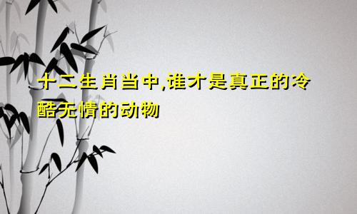 十二生肖当中,谁才是真正的冷酷无情的动物